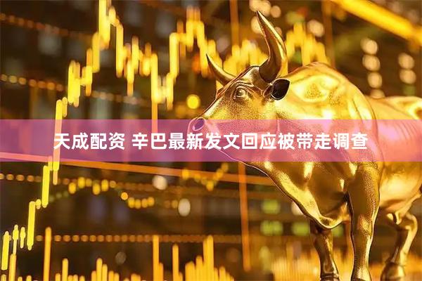 天成配资 辛巴最新发文回应被带走调查