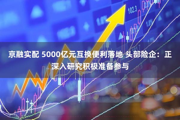 京融实配 5000亿元互换便利落地 头部险企：正深入研究积极准备参与
