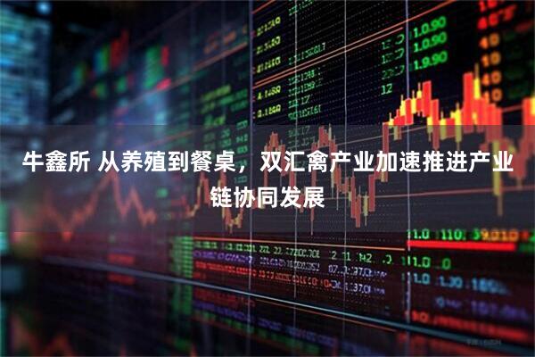 牛鑫所 从养殖到餐桌，双汇禽产业加速推进产业链协同发展