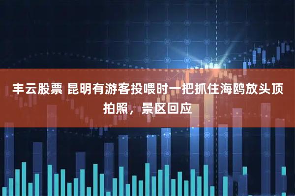 丰云股票 昆明有游客投喂时一把抓住海鸥放头顶拍照，景区回应
