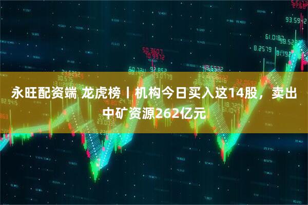 永旺配资端 龙虎榜丨机构今日买入这14股，卖出中矿资源262亿元